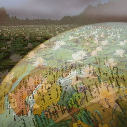 世界のお墓事情