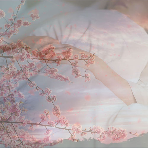 自分で行うDIY弔いの方法（運搬～火葬～散骨まで）