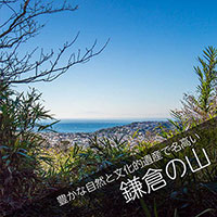 鎌倉の山へ山林散骨