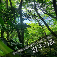 逗子の森へ山林散骨