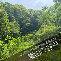 葉山の谷戸へ山林散骨