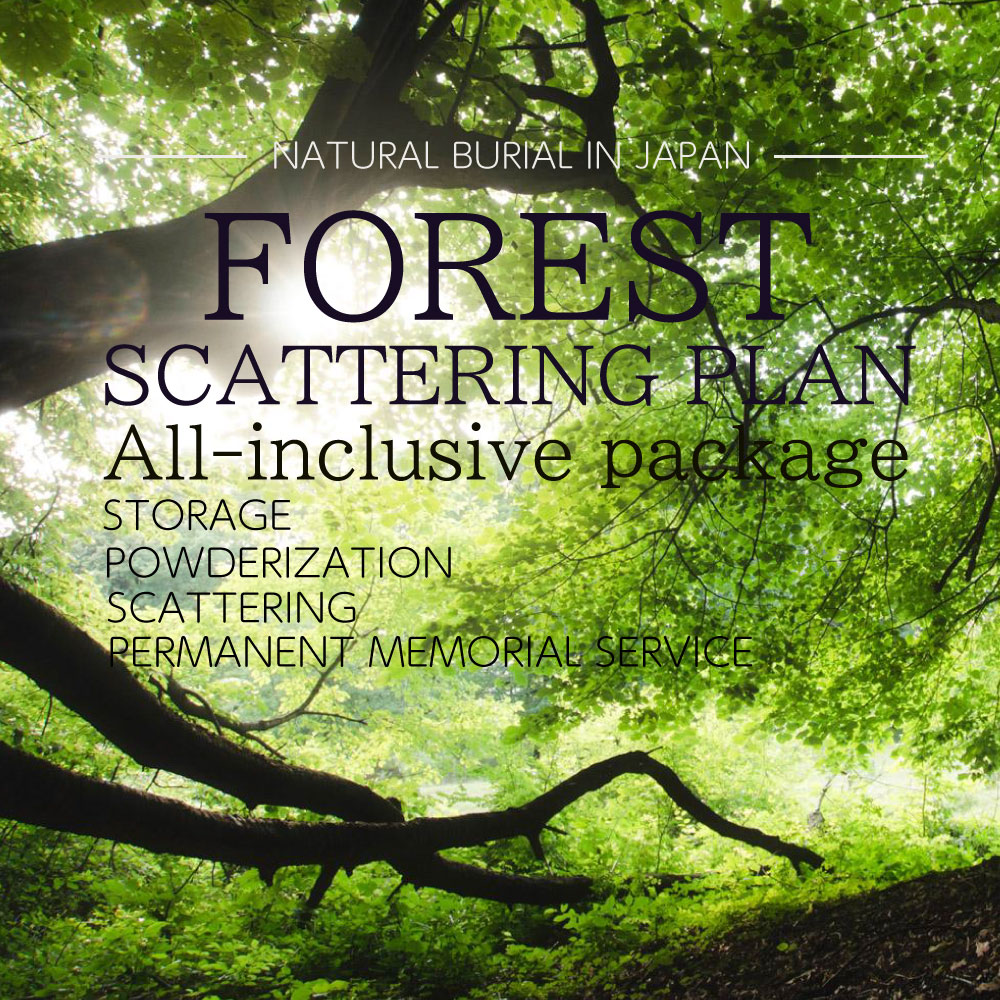 NATURAL BURIAL IN JAPAN FOREST SCATTERING PLAN IN DAYTIME