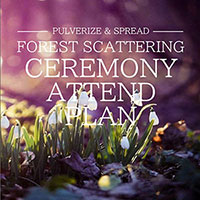FOREST SCATTERING CELEMONY ATTEND PLAN