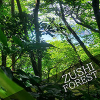 Scattering ashes in ZUSHI  FOREST