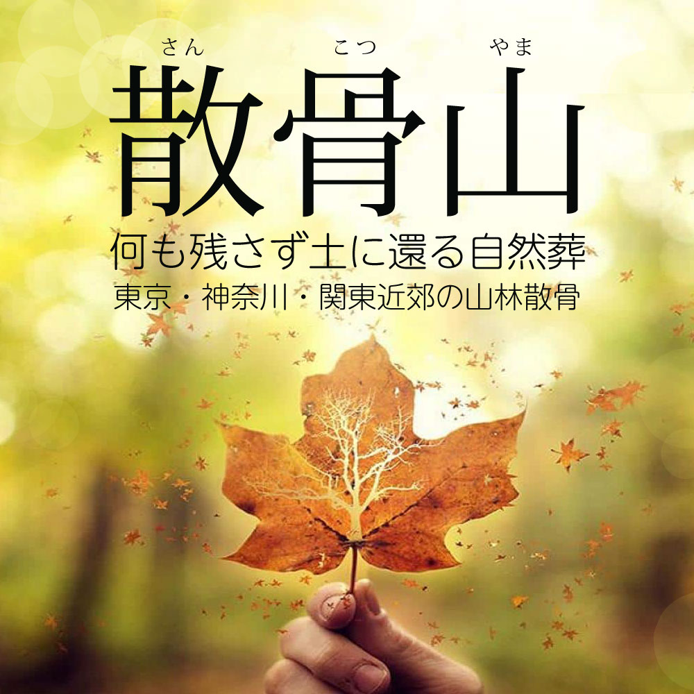 森と海の散骨自然葬なら【散骨山】