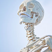 骨に魂が宿っているわけじゃない