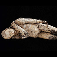 How to make an eco-friendly mummy