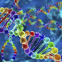 火葬後の遺骨からのDNA鑑定