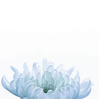 仏教の四十九日