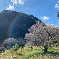魂が自然に還れば遺族にもプラス