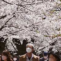 世界一の火葬大国は日本