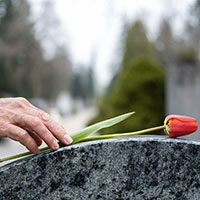 仲間と一緒に眠るグループ生前予約