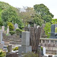 お墓は誰のため？