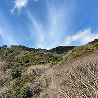 Scattering the ashes in a mountain on one's own property