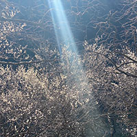 Tips for scattering ashes in the mountains