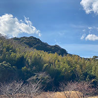 Purchase a mountain and scatter the ashes