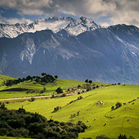 Scattering of ashes in New Zealand