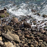 Scattering ashes on the beach