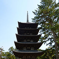 日本では大昔からあった散骨