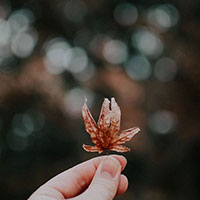 変化する弔いのカタチ