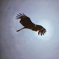 Amazing Tibetan funeral