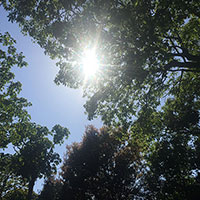 自分専用プライベート散骨スペース