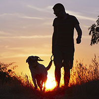 人間とペットは同じお墓に入れない？