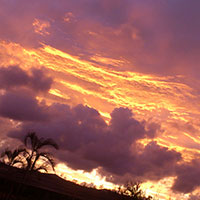 散骨された著名人や有名人たち